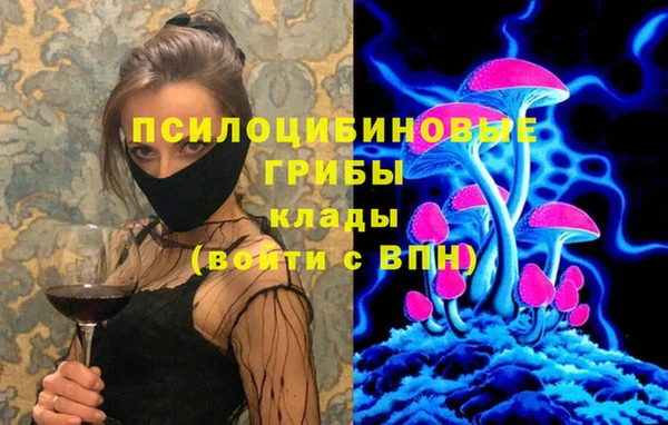 гашик Баксан