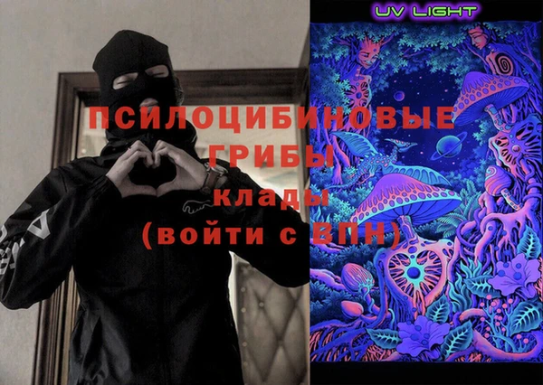 ПСИЛОЦИБИНОВЫЕ ГРИБЫ Балахна