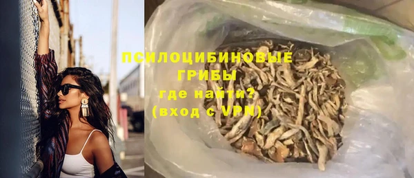 ПСИЛОЦИБИНОВЫЕ ГРИБЫ Балахна