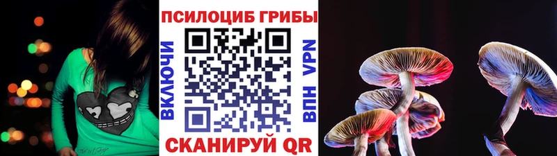 хочу   Октябрьск  Псилоцибиновые грибы Magic Shrooms 