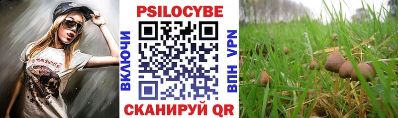 Псилоцибиновые грибы мухоморы Октябрьск
